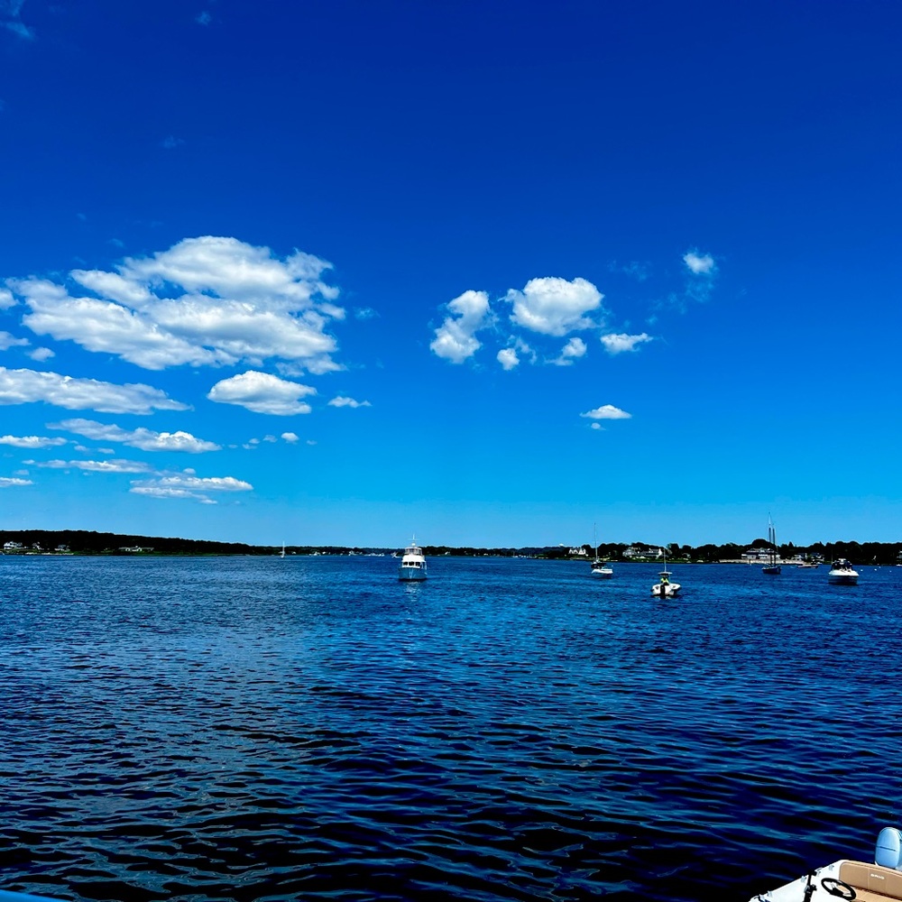 Meet your Posher, Kimberly